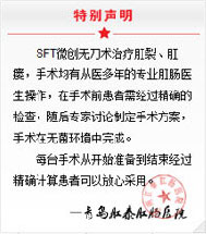 特别声明