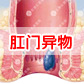 肛门解剖结构