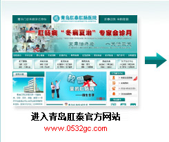 进入官方网站